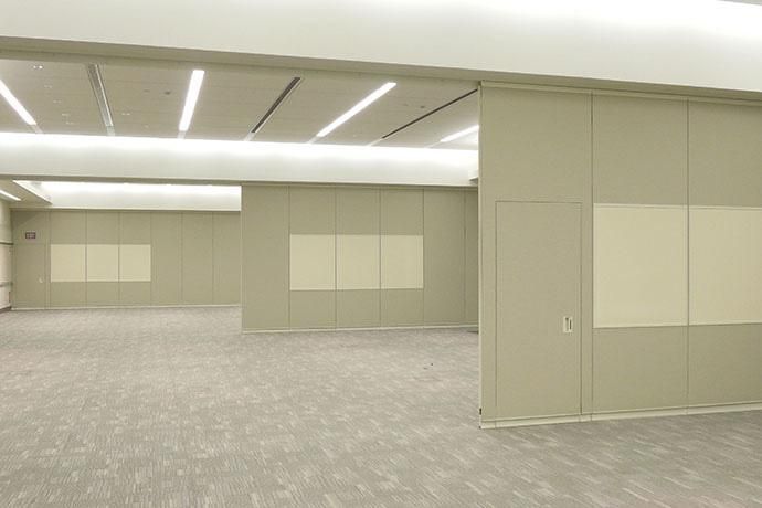 A large empty room with a carpeted floor and sliding walls