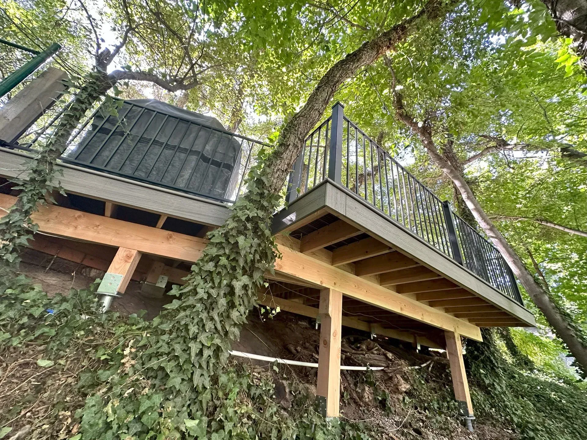 A wooden deck with black metal railing and ivy on a hillside, beneath a canopy of green leaves.