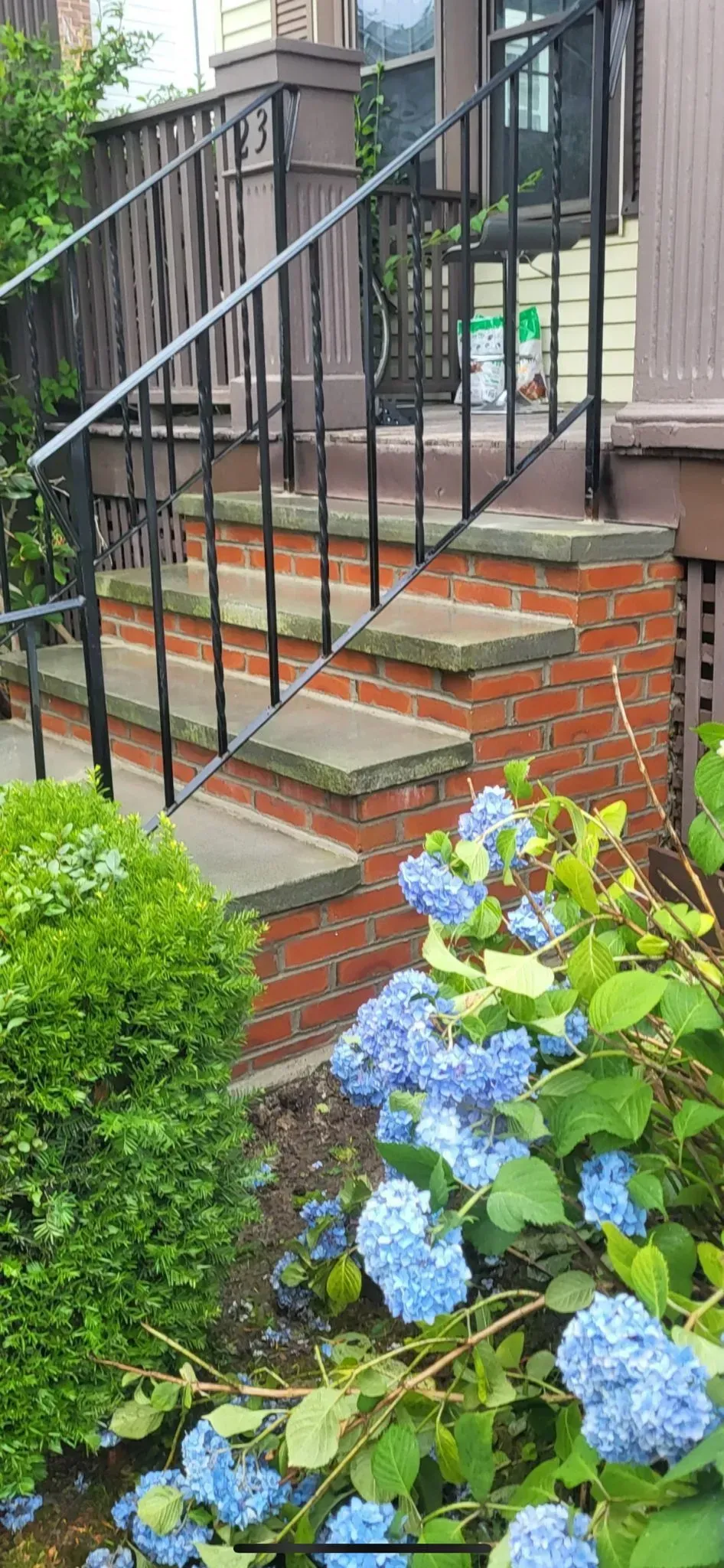 A set of stairs leading up to a house with blue flowers in the foreground.