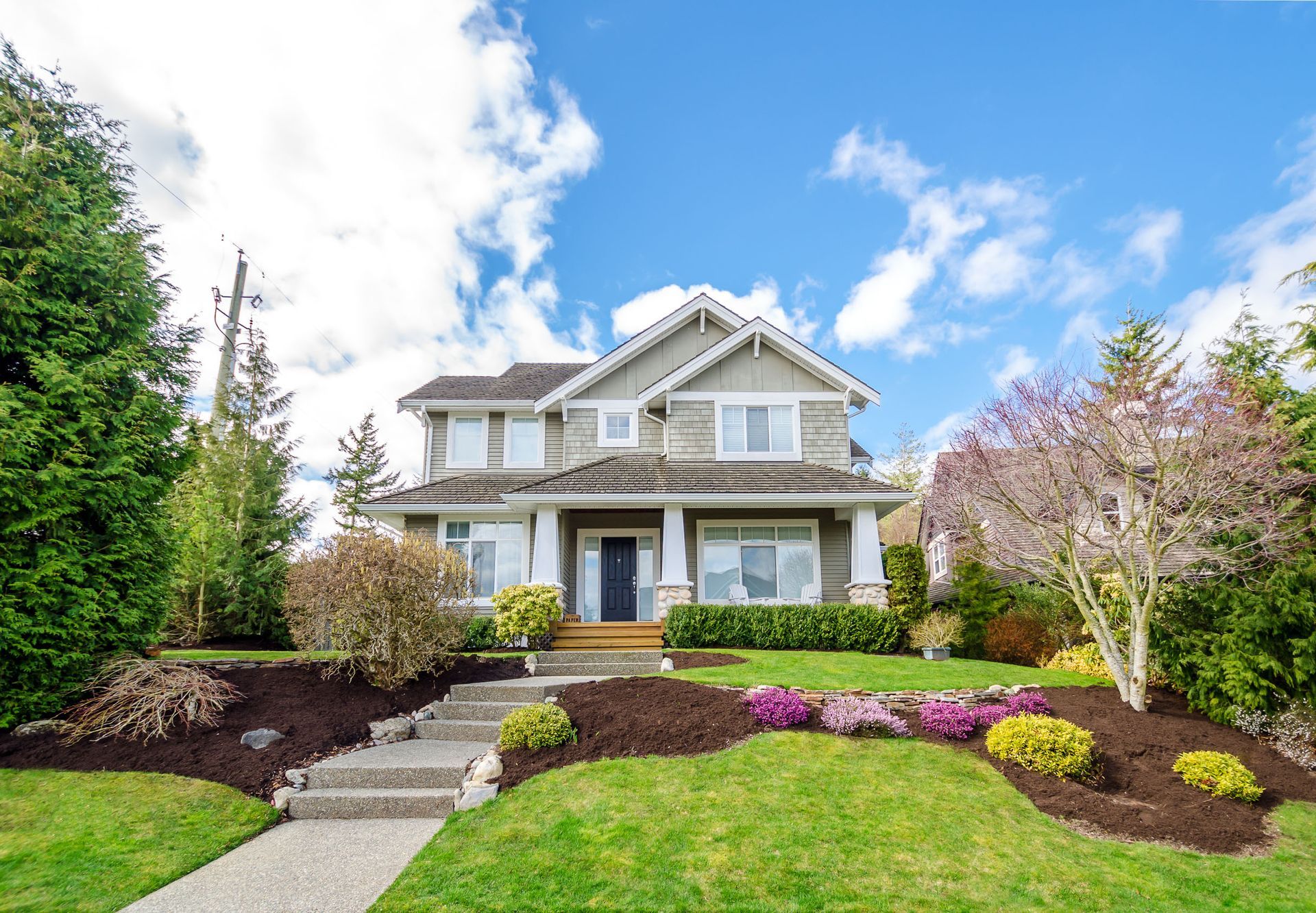 How Local Tree Services Boosts Property Value and Curb Appeal