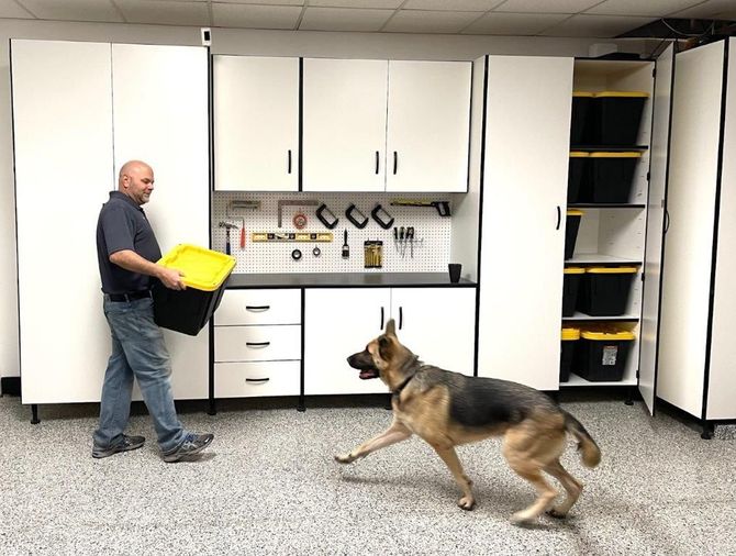 A man is carrying a box and a dog is running in a garage.