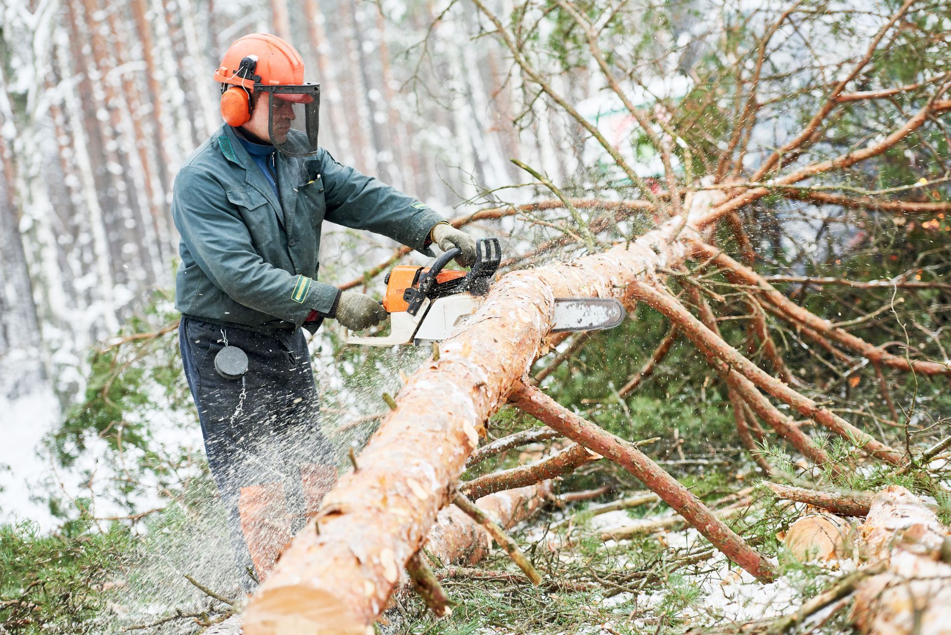 tree service