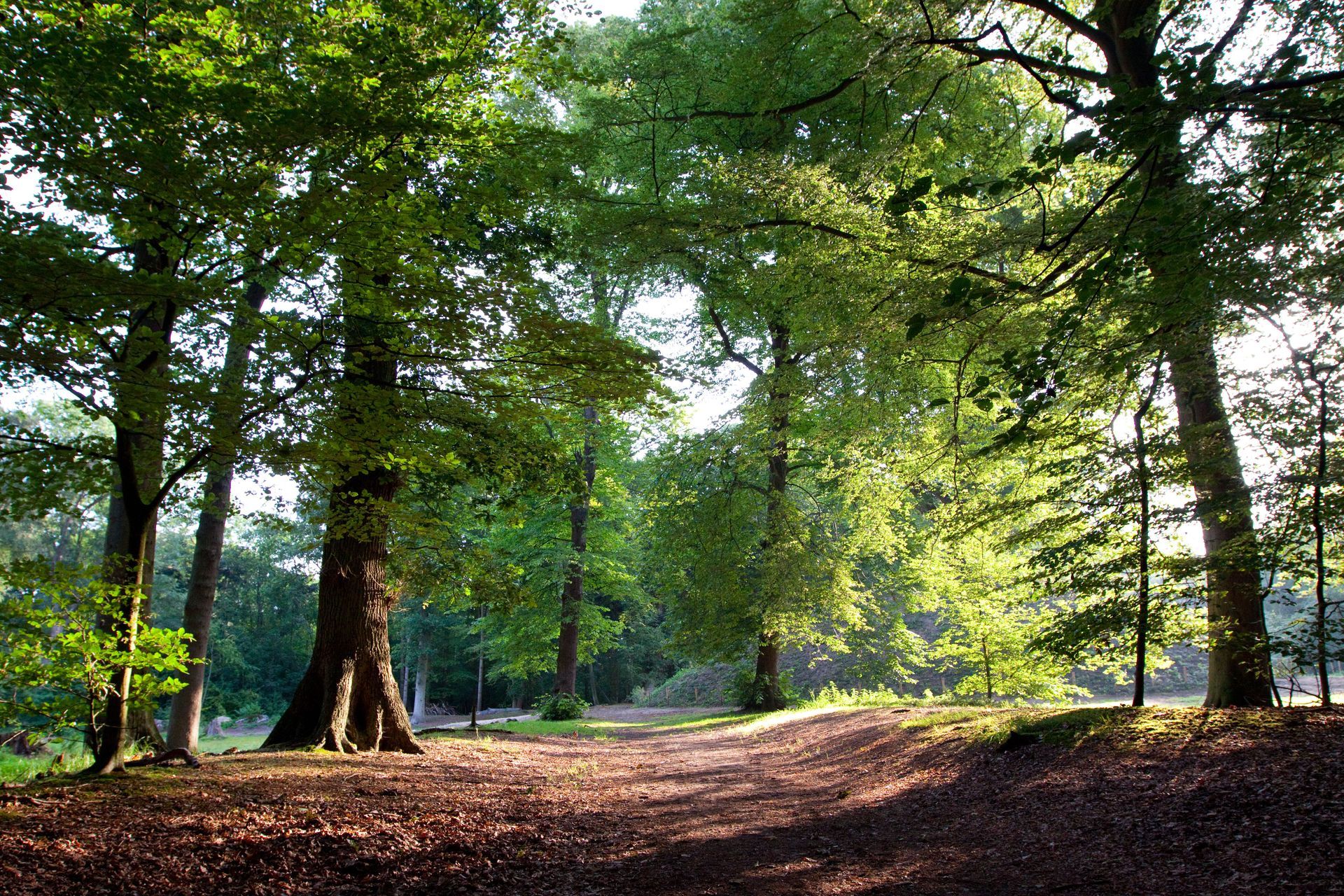 arborists