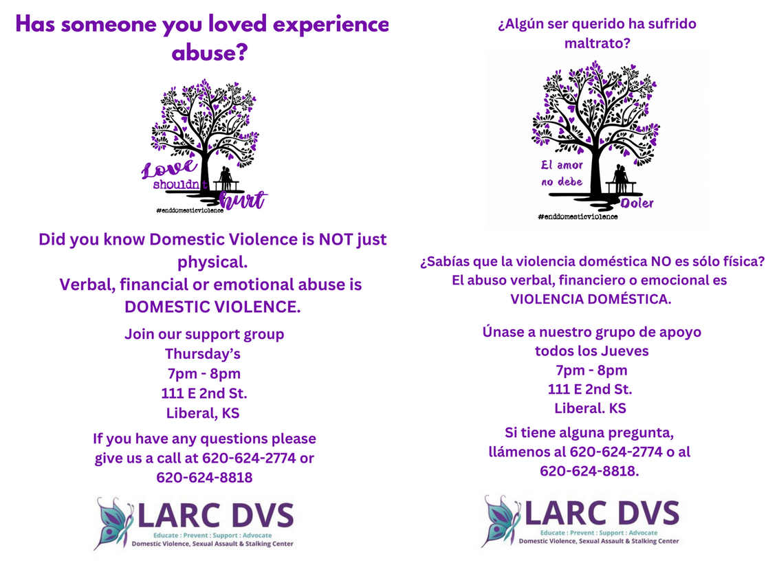 Domestic Violence flyer