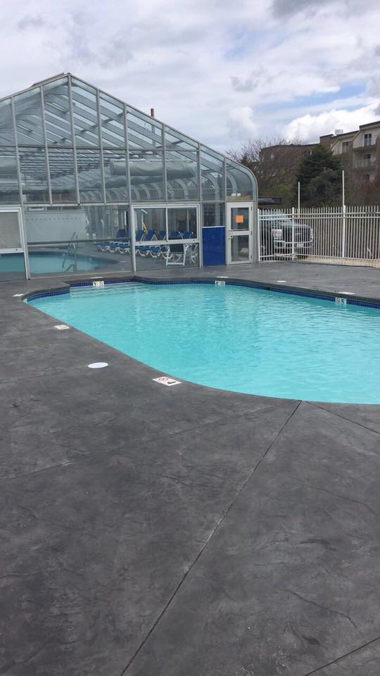 Pool Designs and Renovations Gallery picture