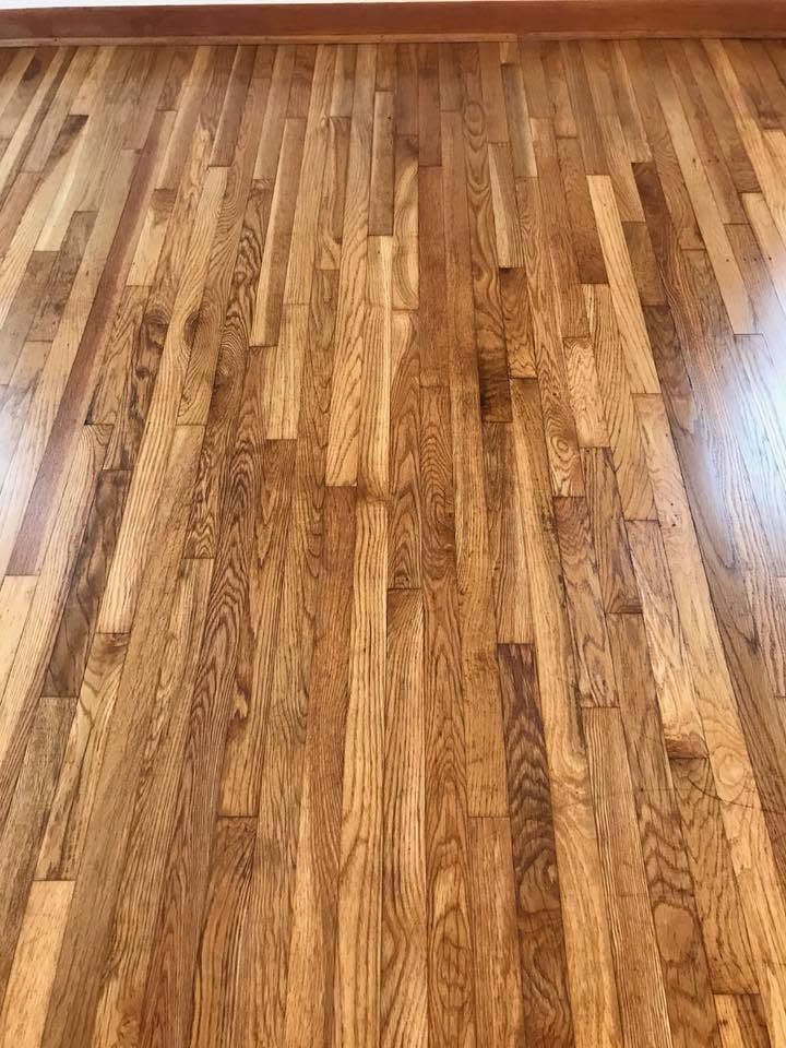 Empty room with a glossy brown hardwood floor and wood baseboard trim.