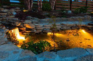Garden pond with lighting