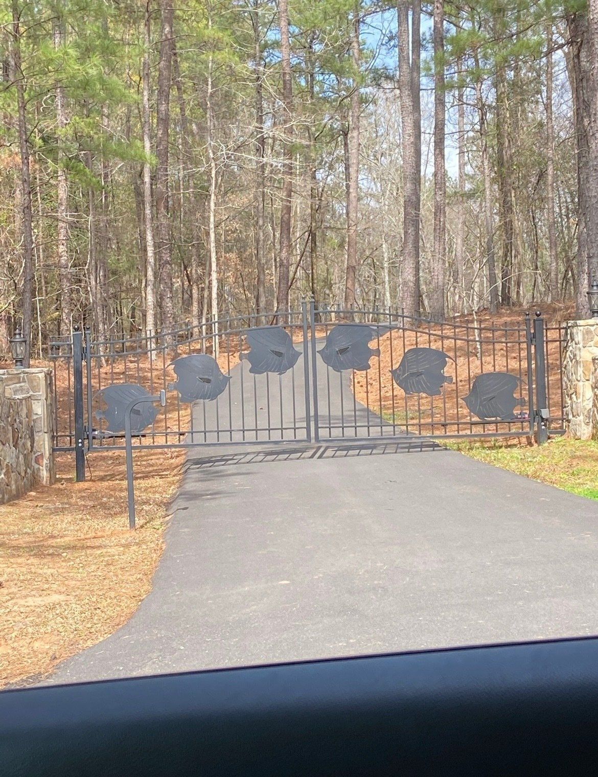 A metal gate with leaves on it is on the side of a road