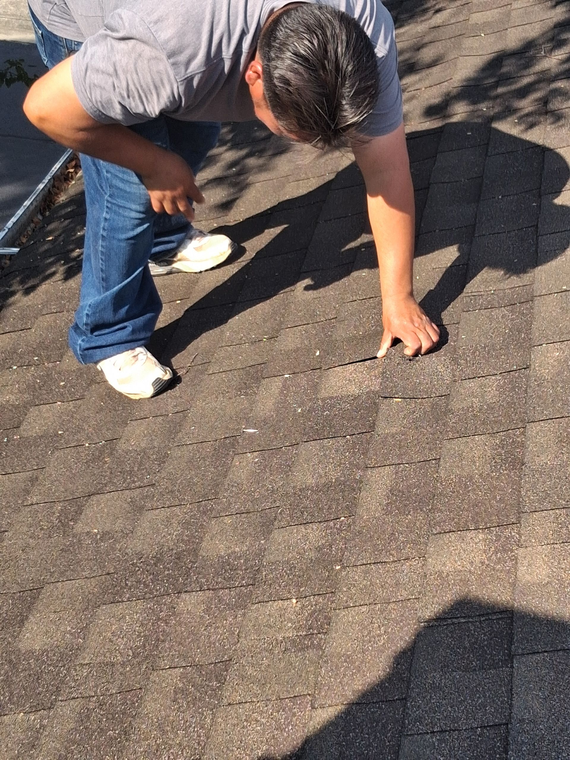 Person kneeling on a shingled roof, inspecting damage with a flashlight in bright sunlight