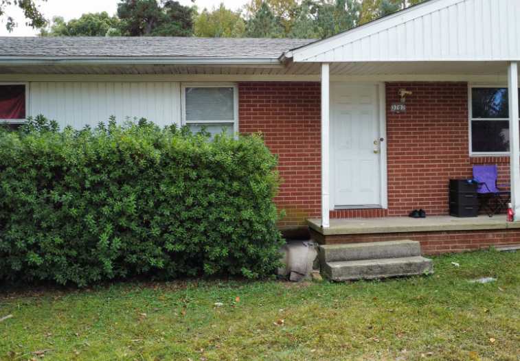 Brick house front porch with white door, large hedge, and concrete steps leading up from a grassy yard