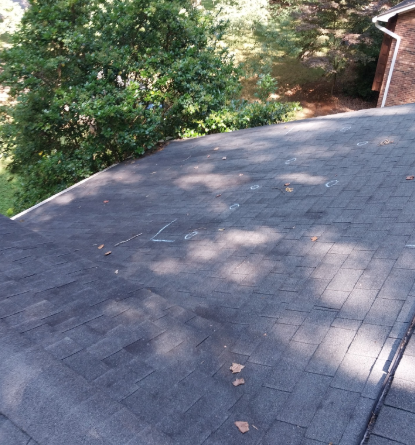 Dark shingled roof beside leafy trees, with sunlight and a brick wall at the edge