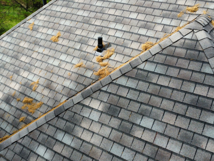 Gray shingled roof with scattered leaves, a vent pipe, and a diagonal ridge line