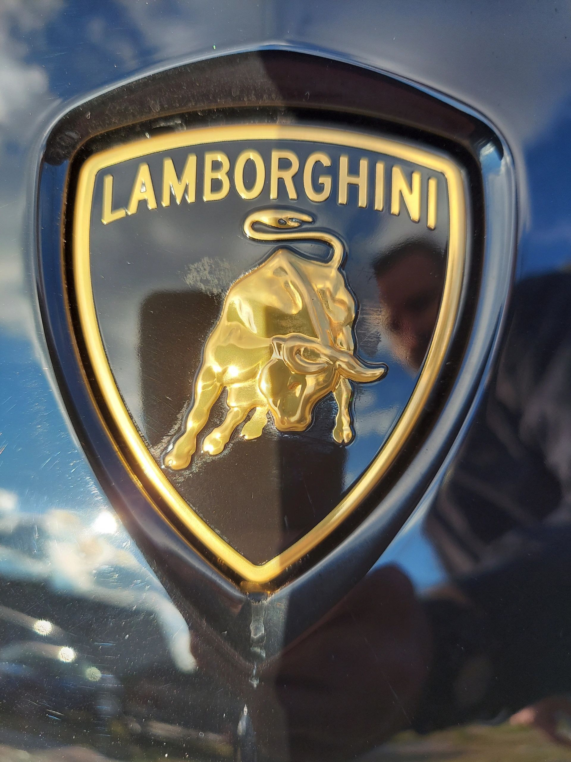 A lamborghini logo with a bull on it