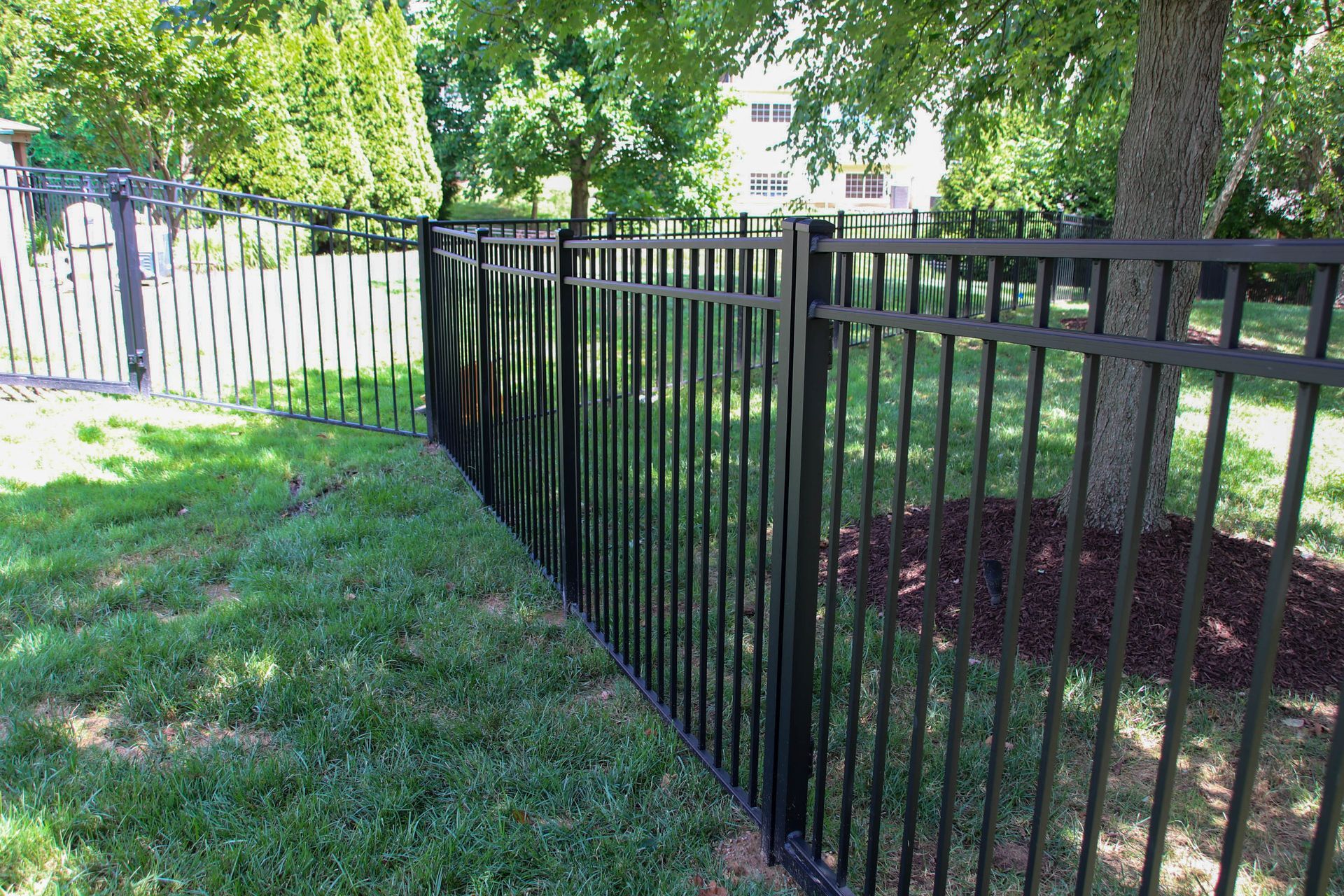 Black metal fence in a grassy yard, with trees in the background.