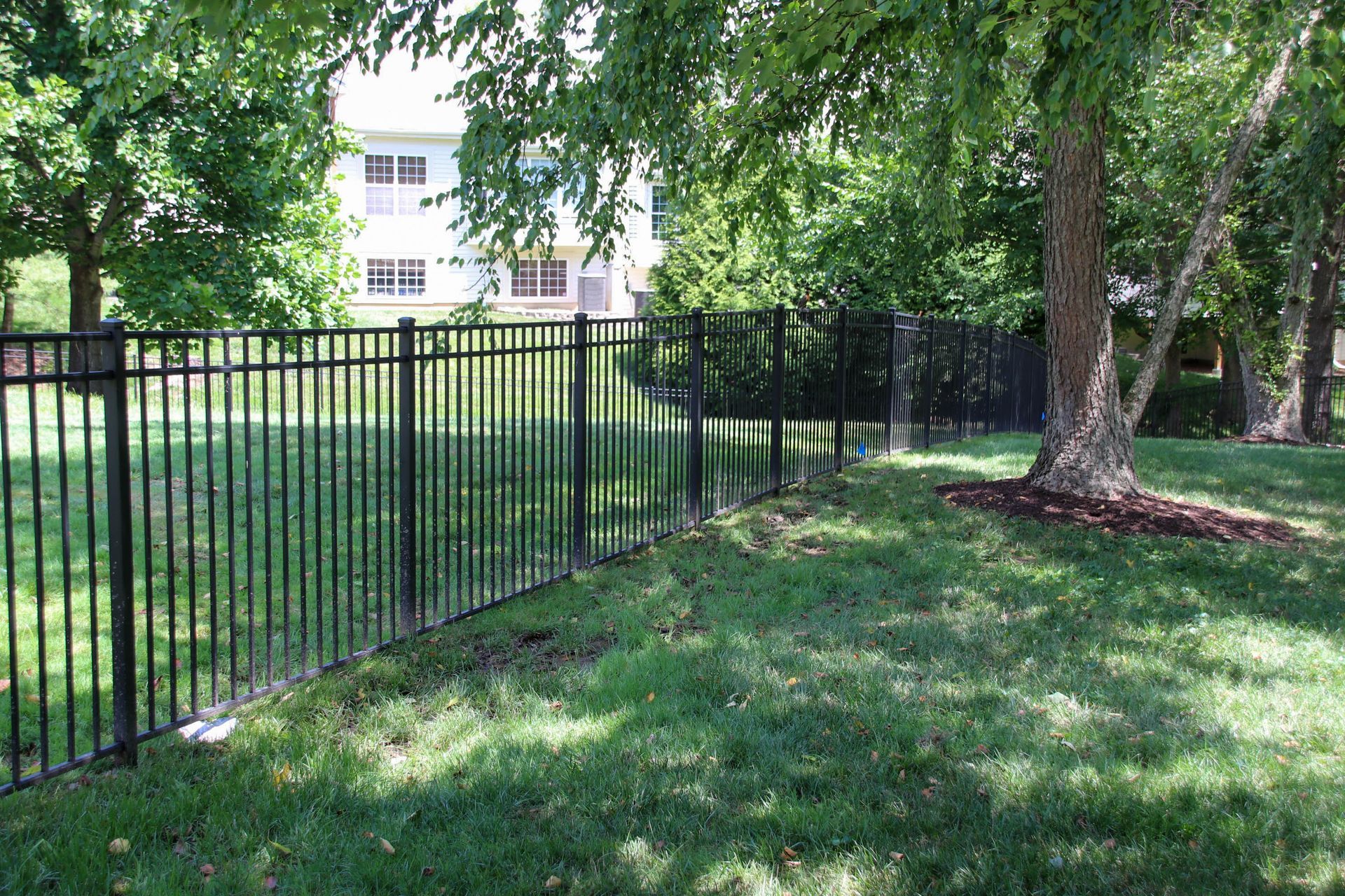 Black metal fence in a grassy yard, trees in the background, a building is visible.