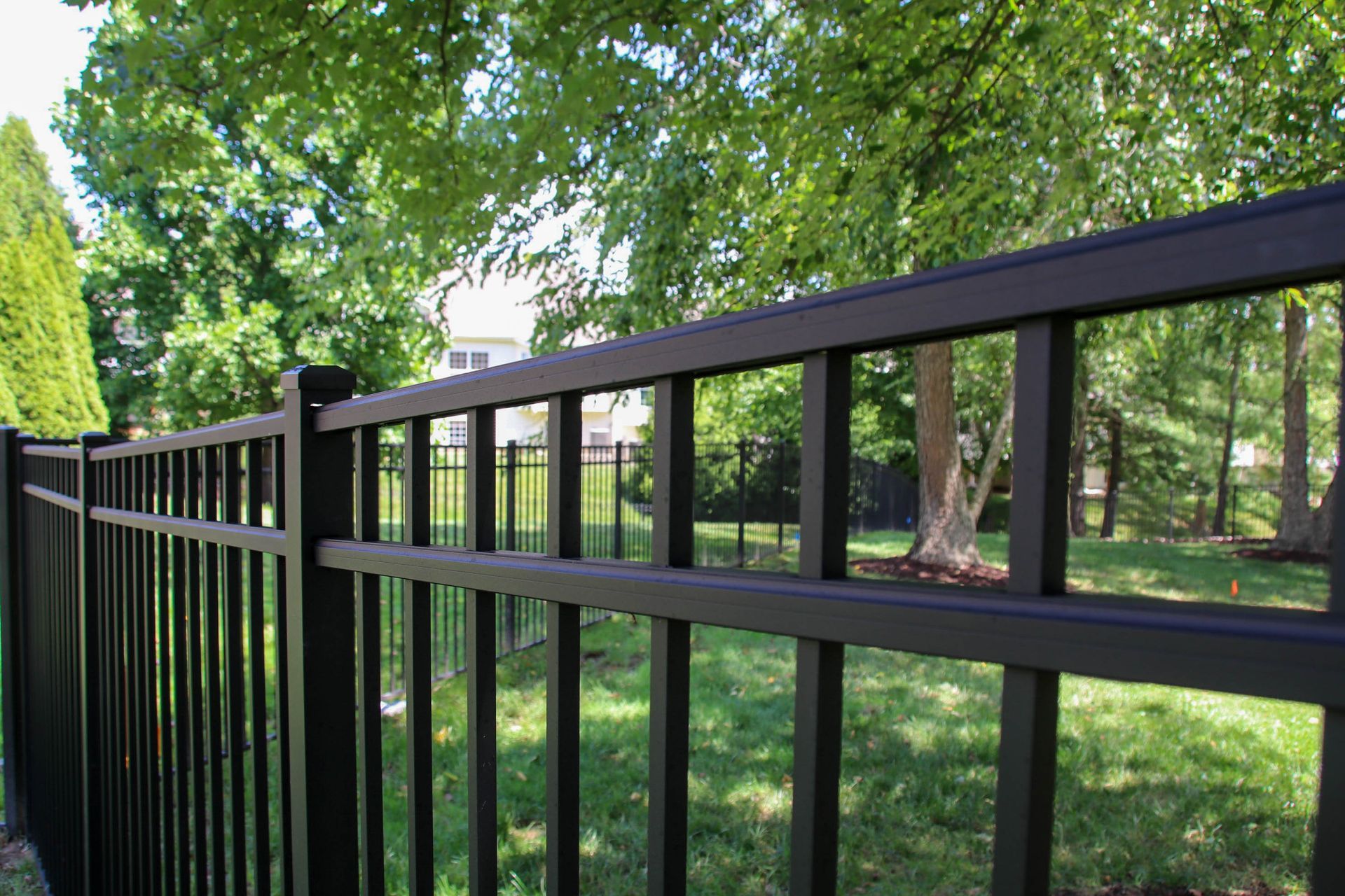 Black metal fence in a yard, trees in the background, sunny day.