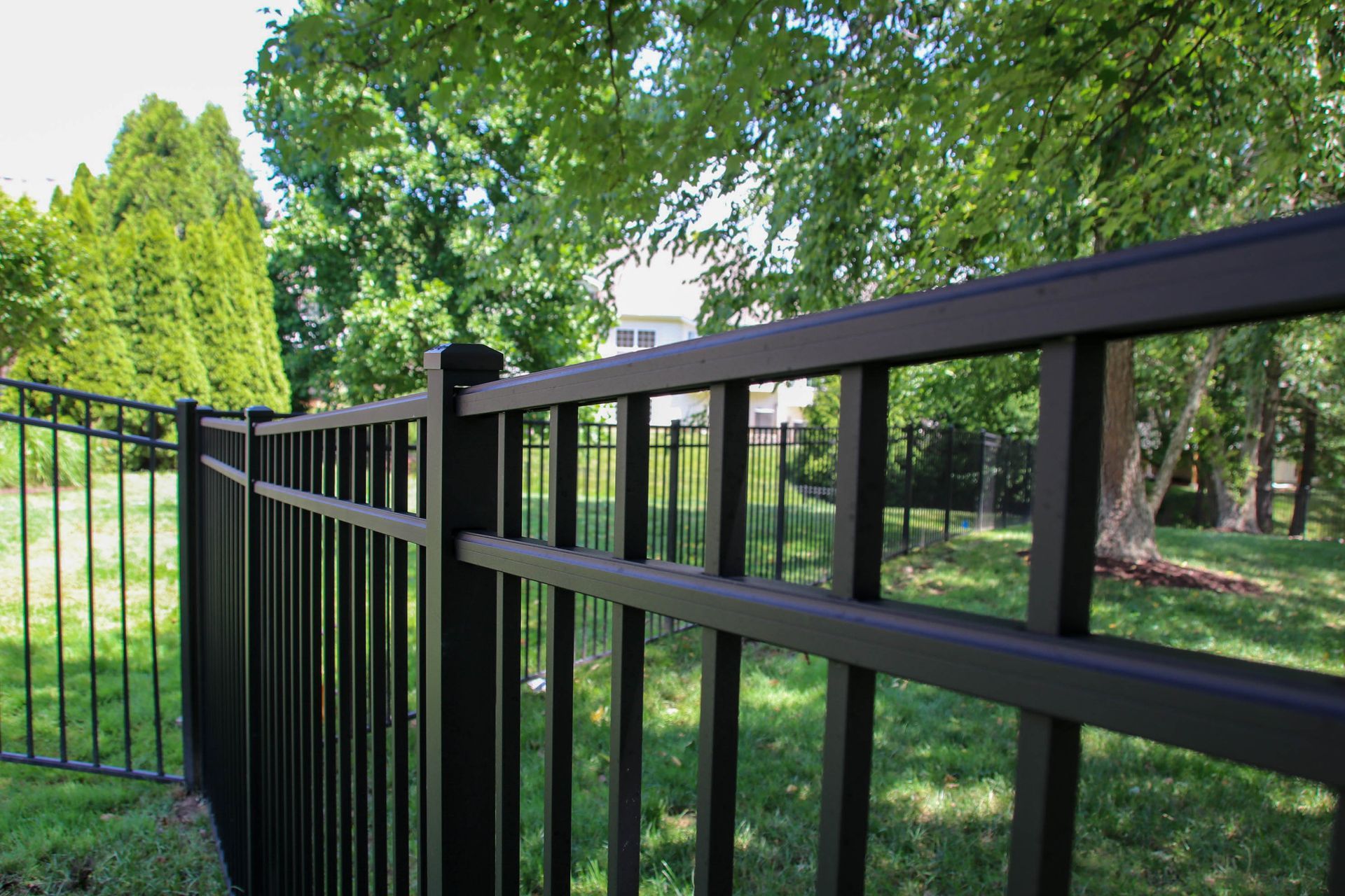 Black metal fence bordering a green grassy yard, with trees in the background.