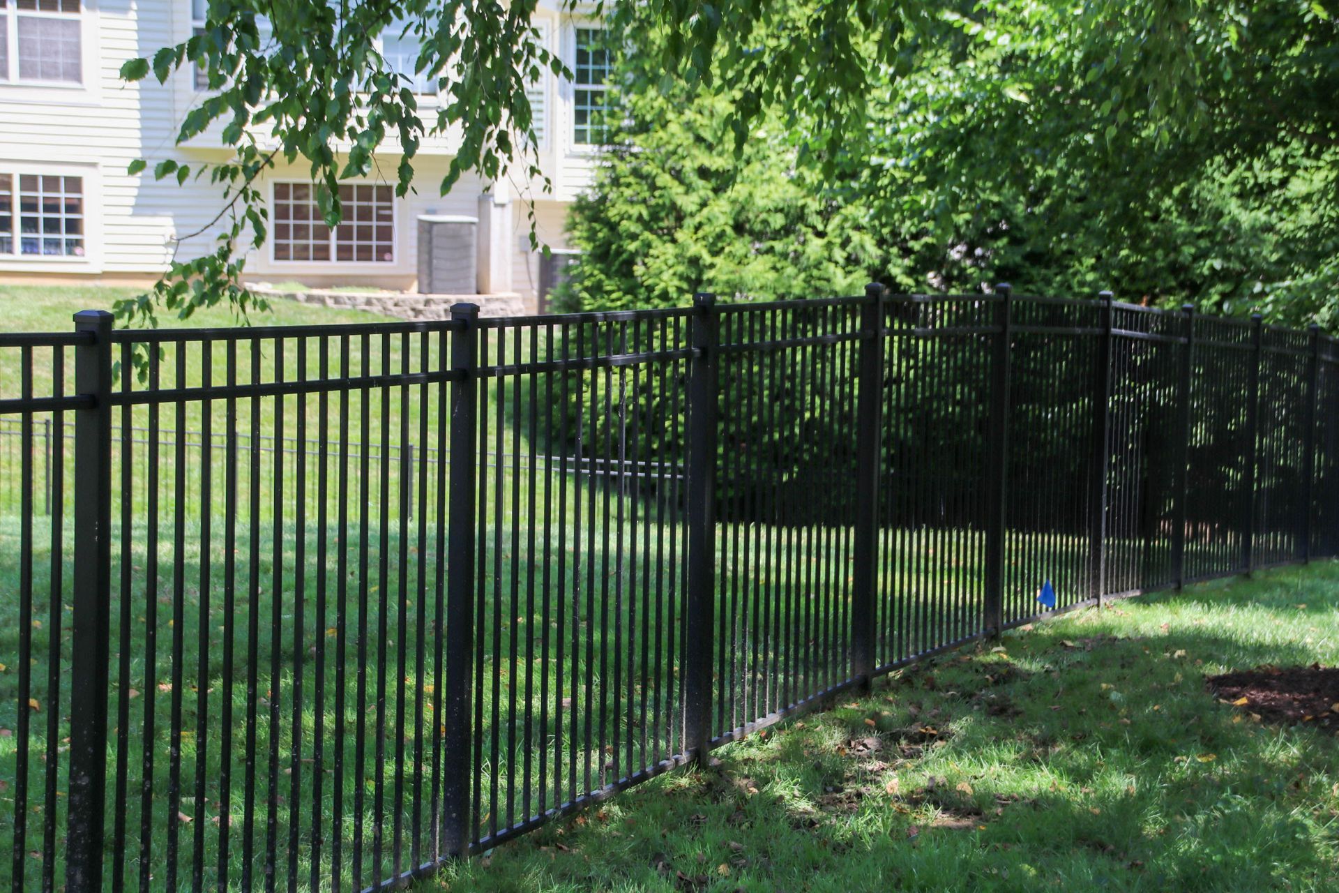 Black metal fence in a grassy yard, with a white building in the background.