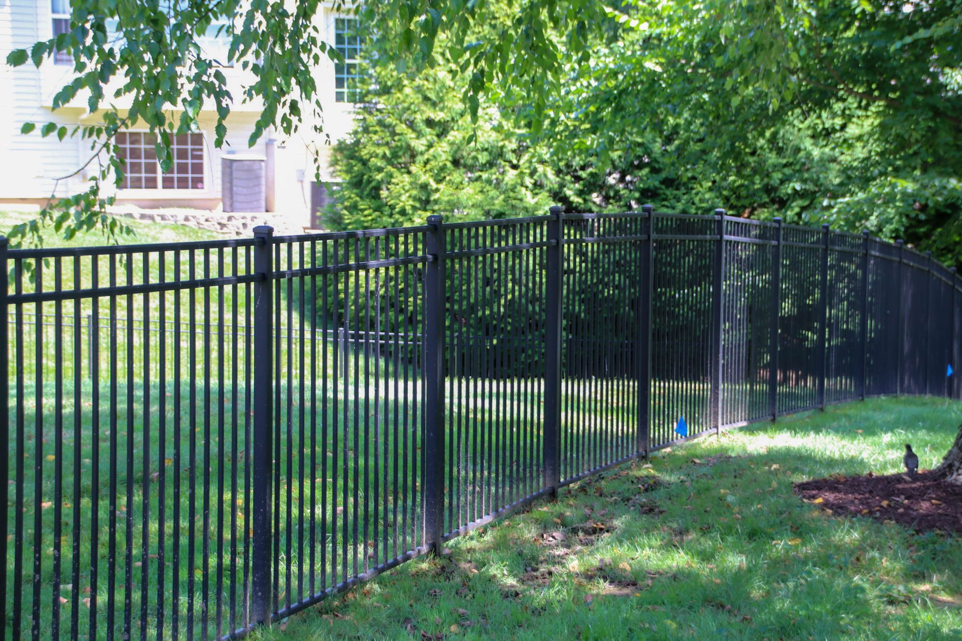Black metal fence in grassy yard, trees in background, sunny day.