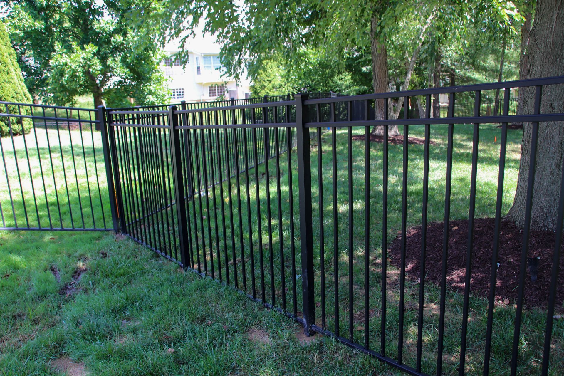 Black metal fence in a grassy yard, trees in the background, daytime.