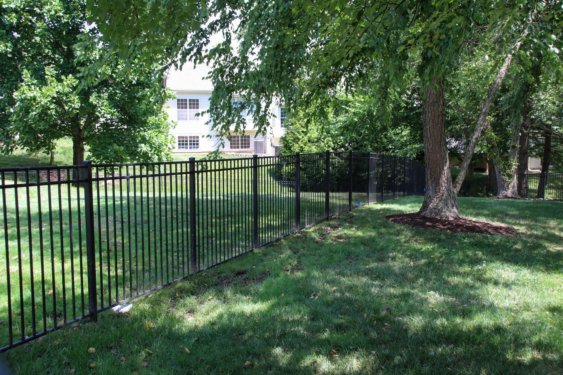 Black metal fence in a grassy yard, under trees, house in the background.
