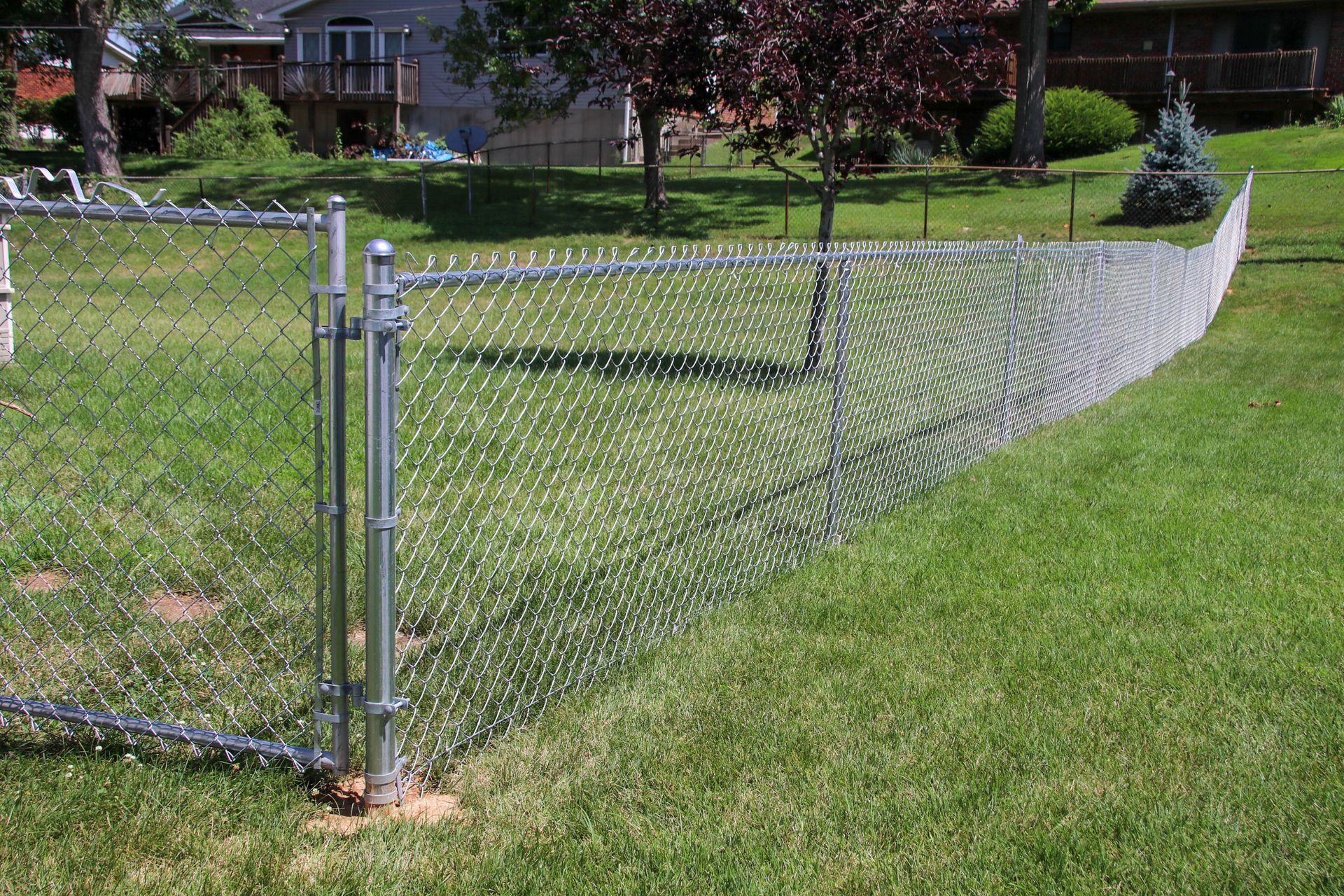 Chain link fence in a grassy backyard, connecting to a gate with houses in the background.