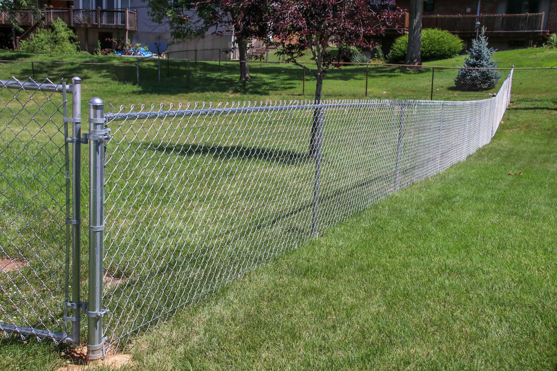 Chain-link fence with a gate, in a grassy yard, partially in shade.