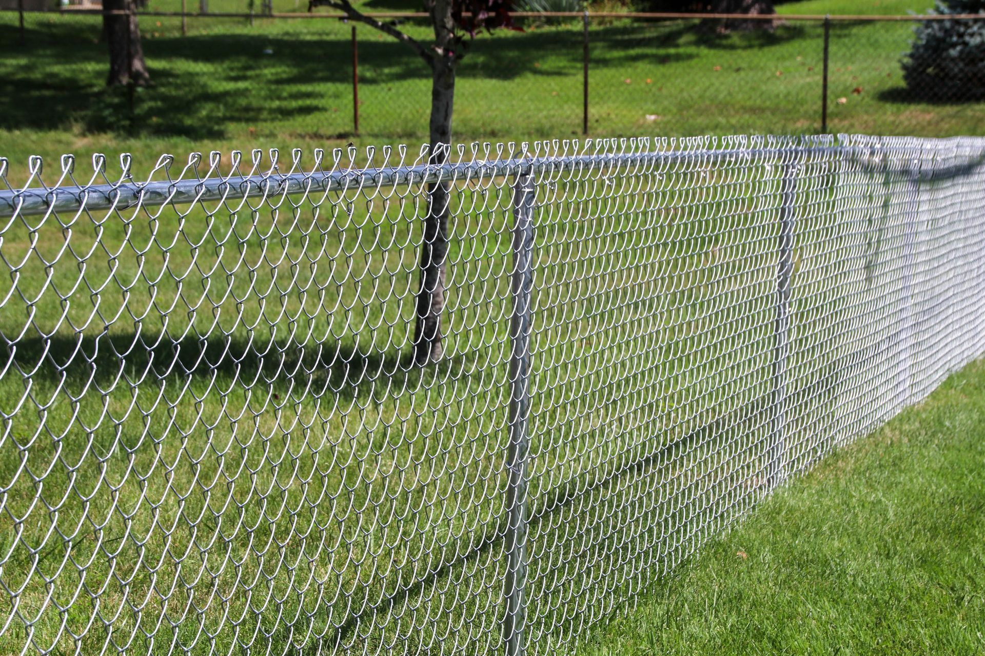 Chain-link fence in green grass, with trees and a second fence in the background.