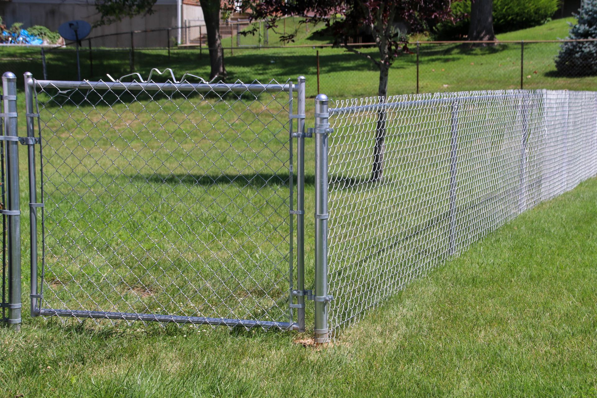 Open chain-link fence and gate in a grassy backyard.
