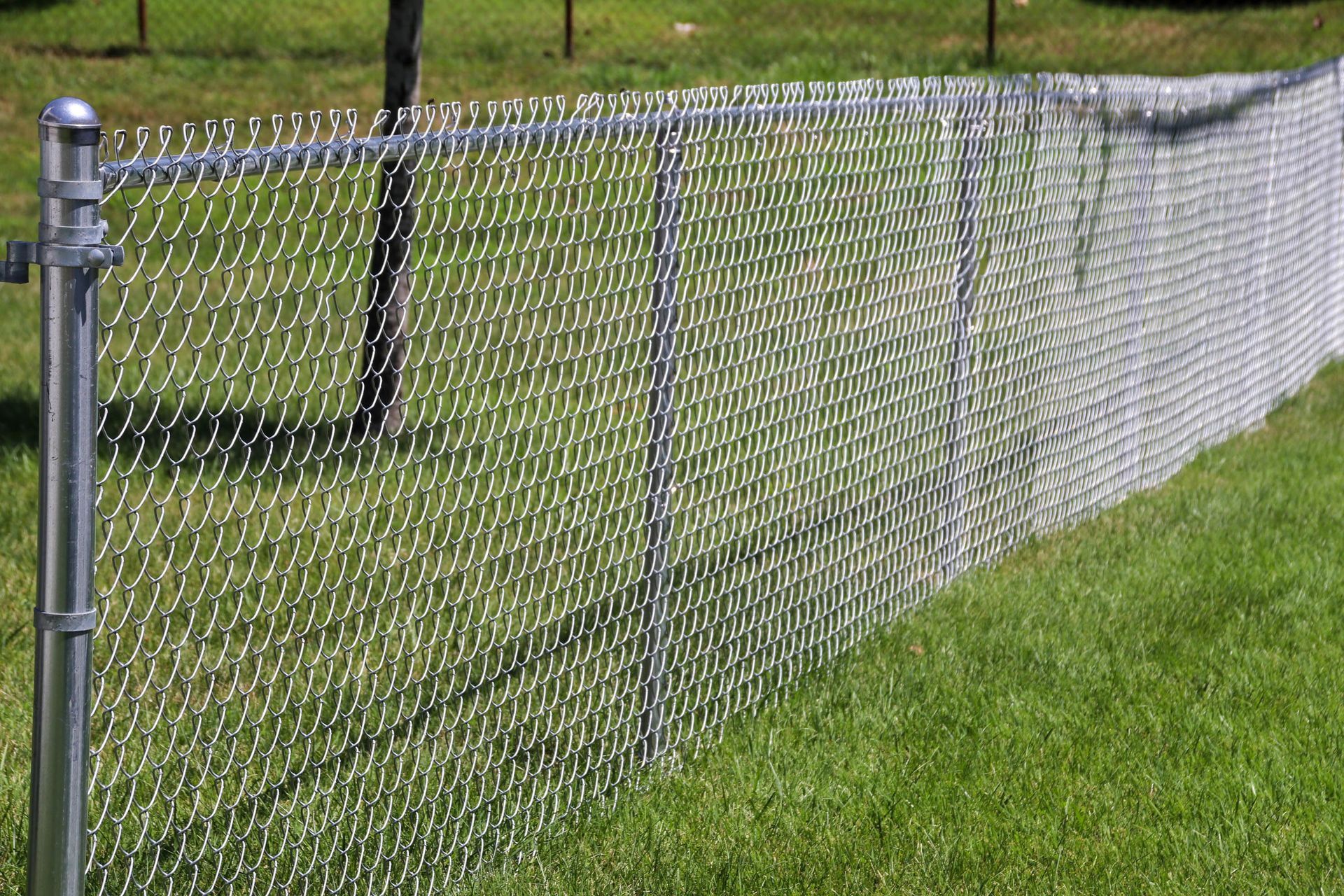 Chain-link fence on green grass in a grassy area with trees and a cloudy sky visible in the background.