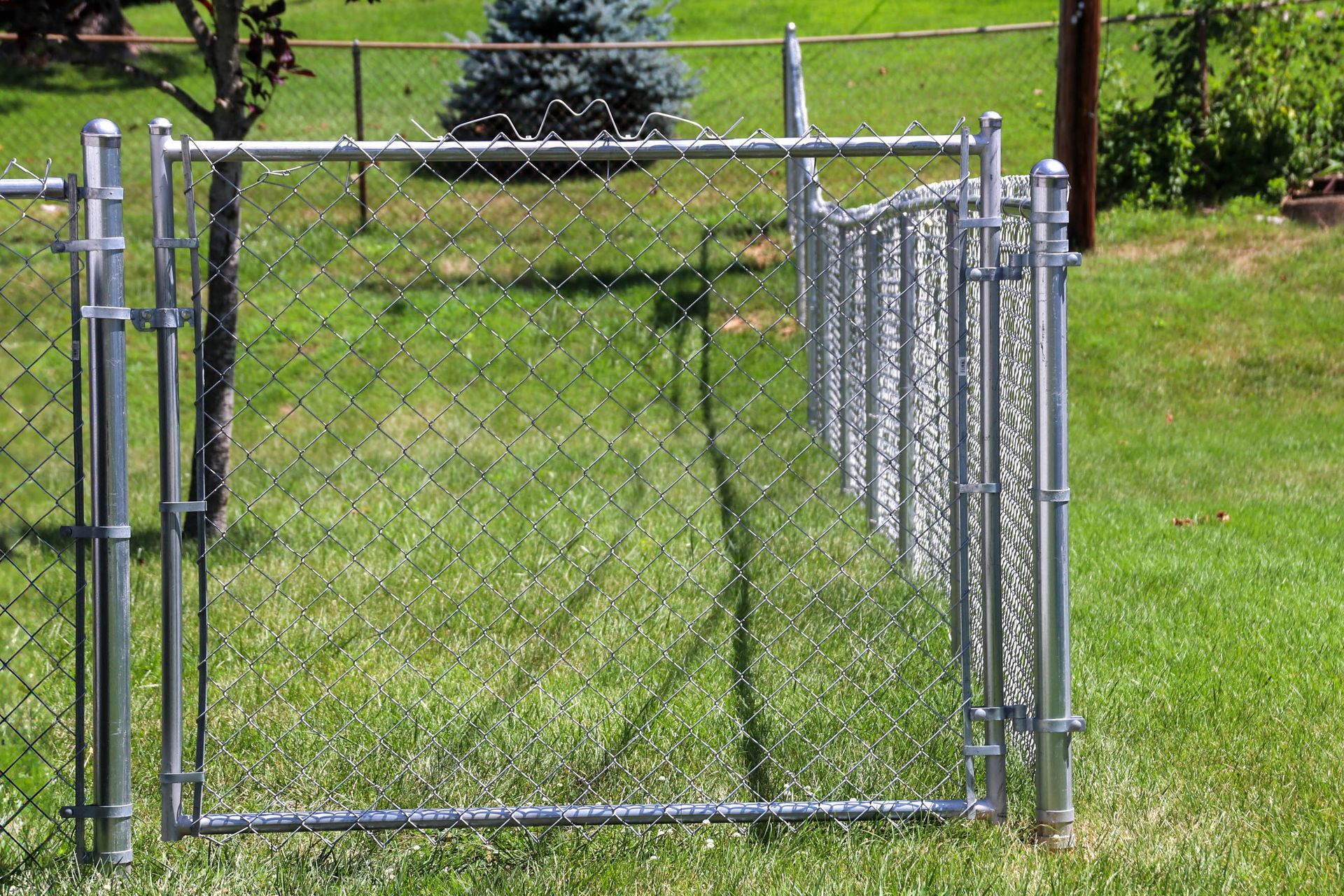 Chain-link fence with gate, in a grassy yard.