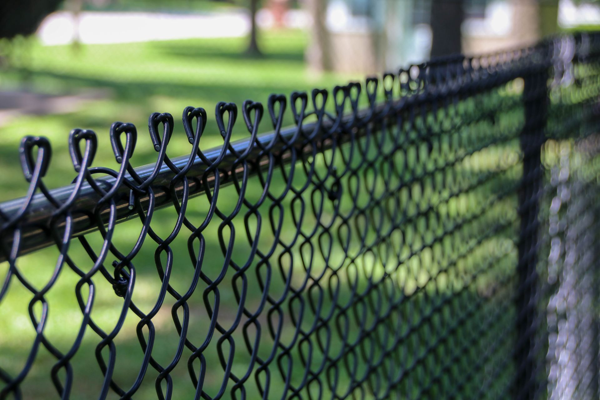 Black chain-link fence in close-up against a blurred green background of trees and grass.