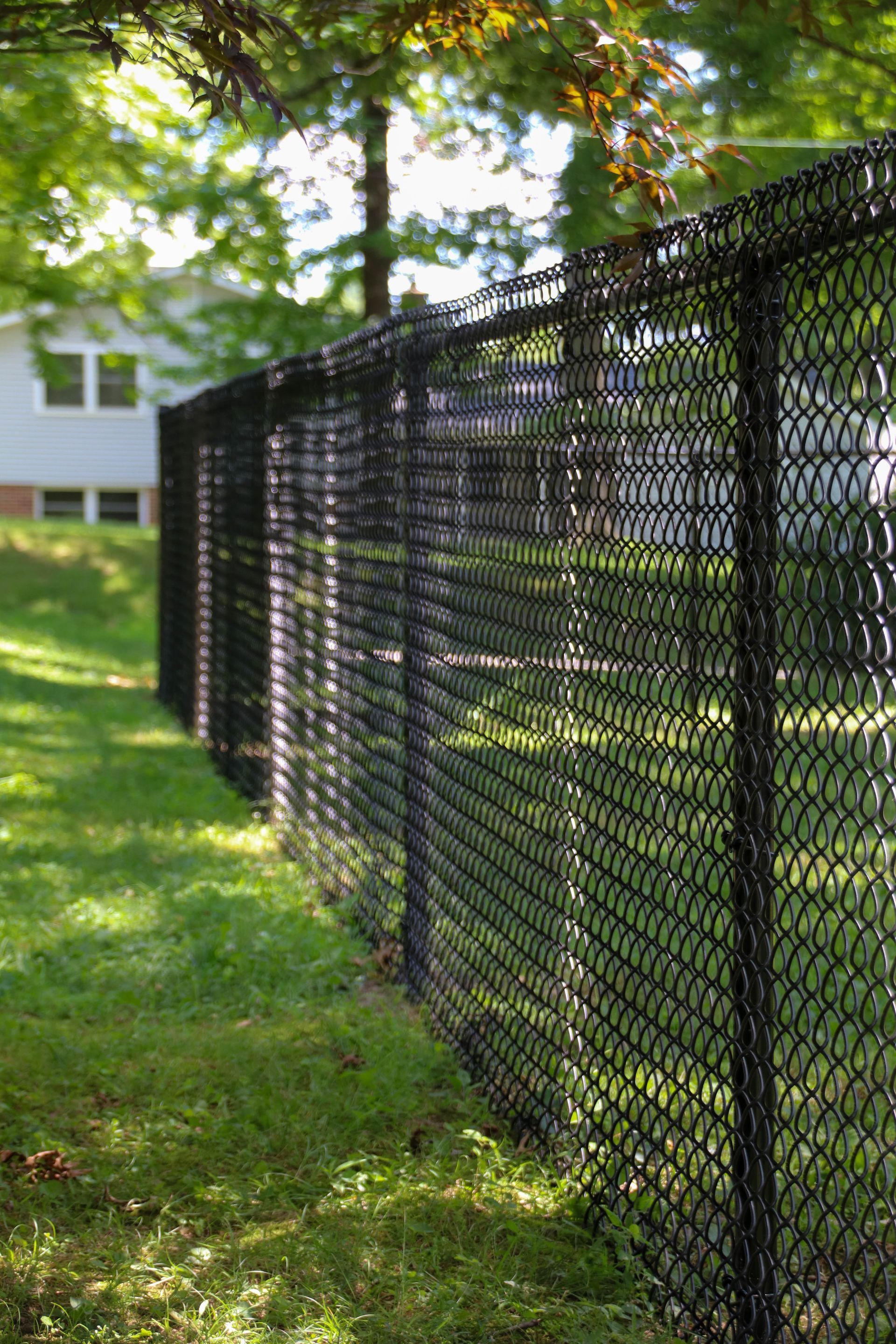Black chain-link fence with barbed wire topping, alongside a grassy yard. A white house is visible in the background.