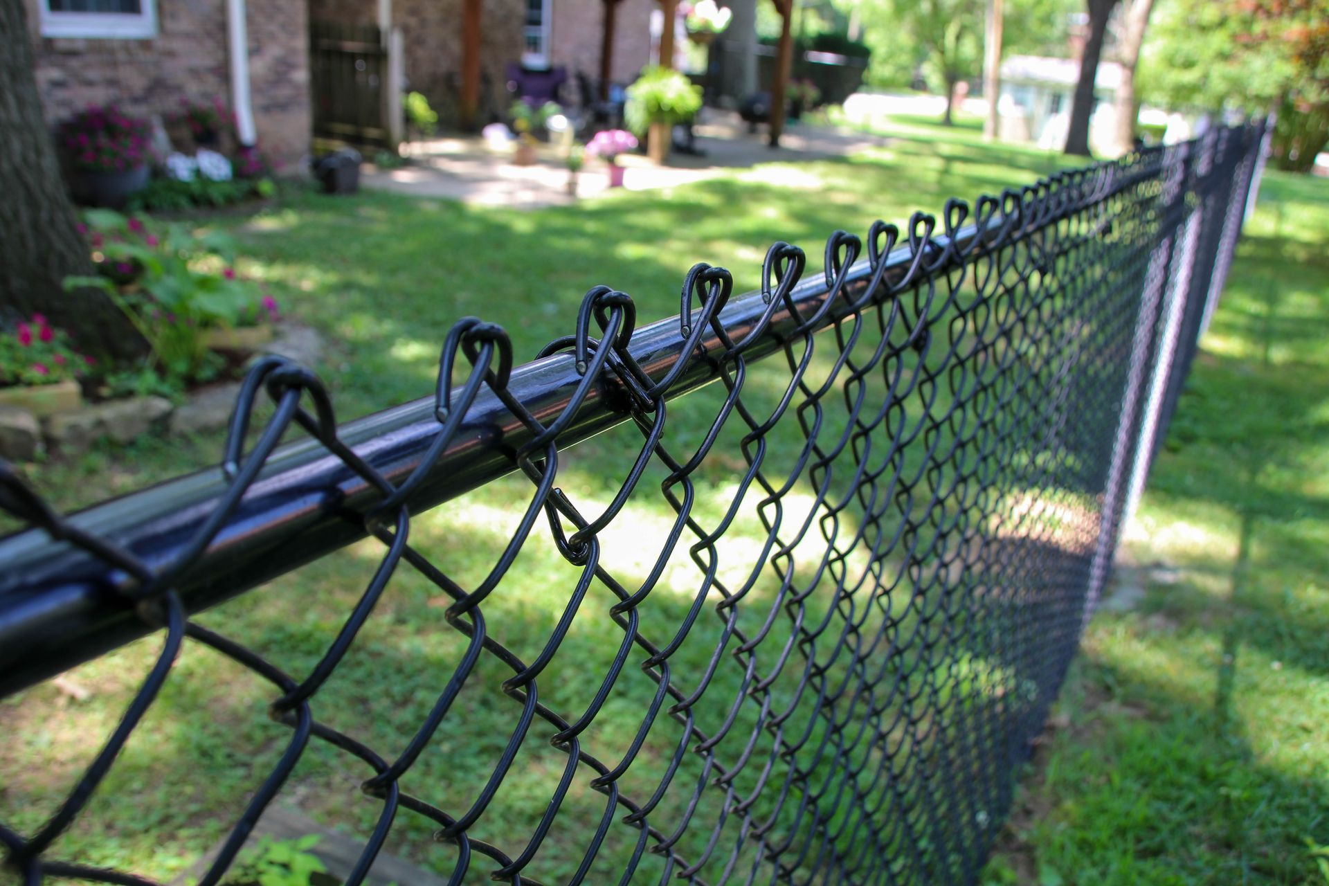 Black chain-link fence in a grassy yard, with a house in the background.