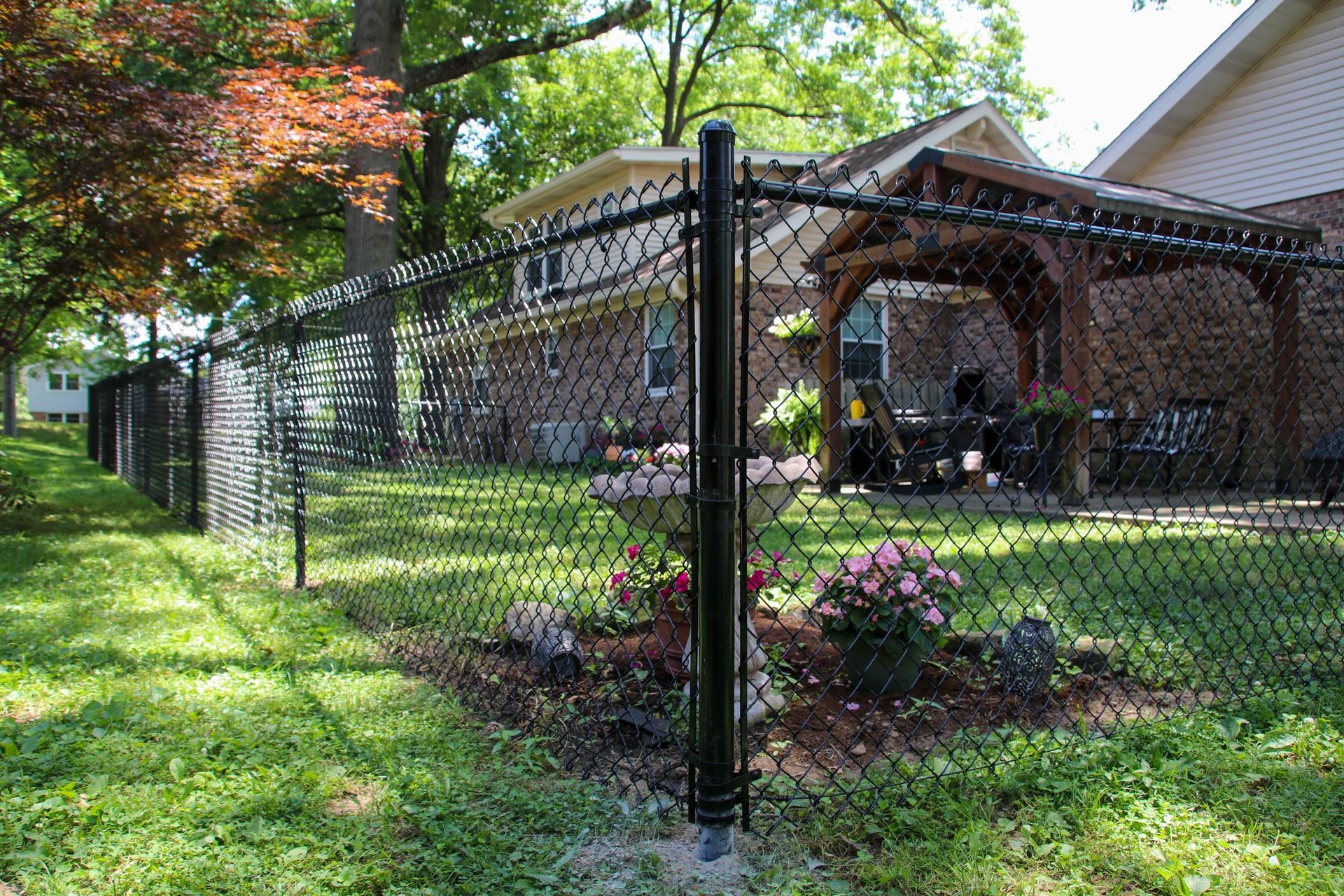 Black chain-link fence in a yard with trees and a house in the background. Pink flowers in the foreground.