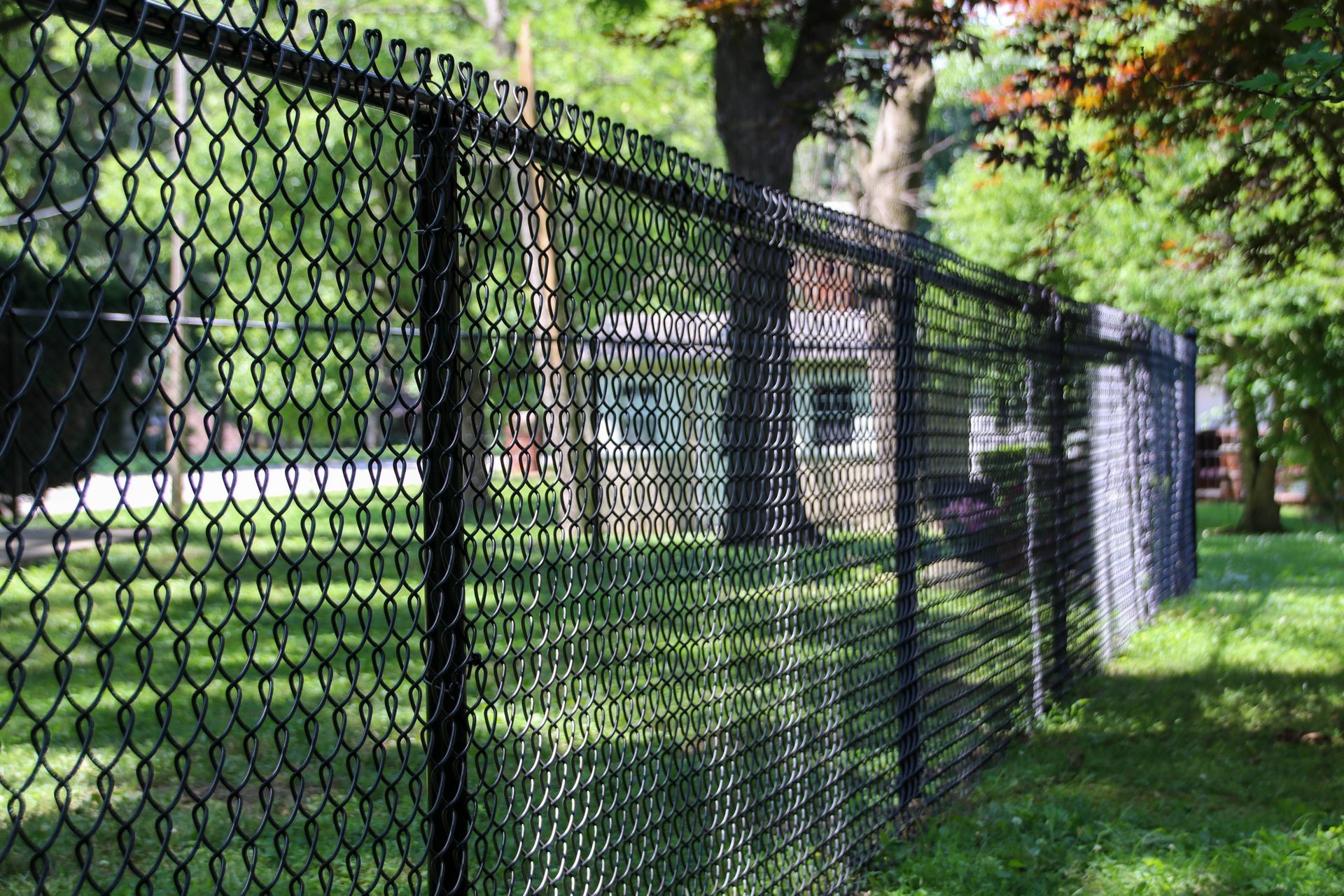 Black chain-link fence in front of green grass, trees, and a building on a sunny day.