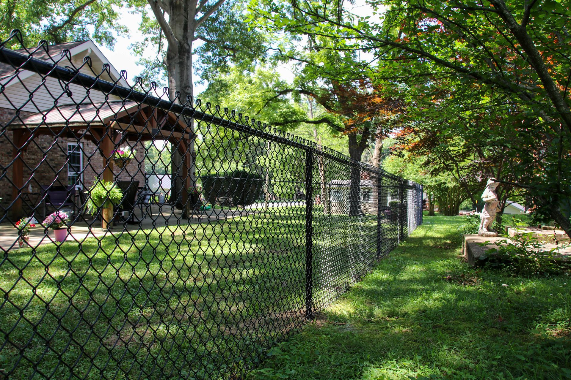 Black chain link fence encloses a grassy yard with a house and trees in the background.