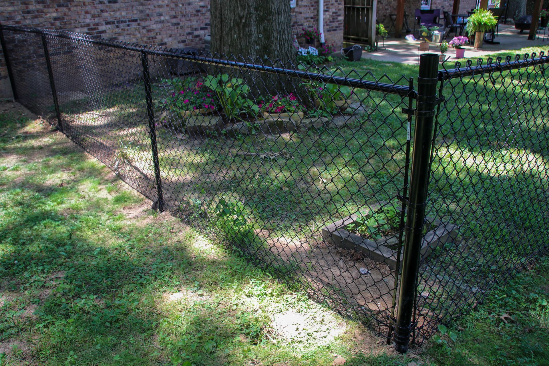 Black chain-link fence in grassy yard, surrounded by trees.