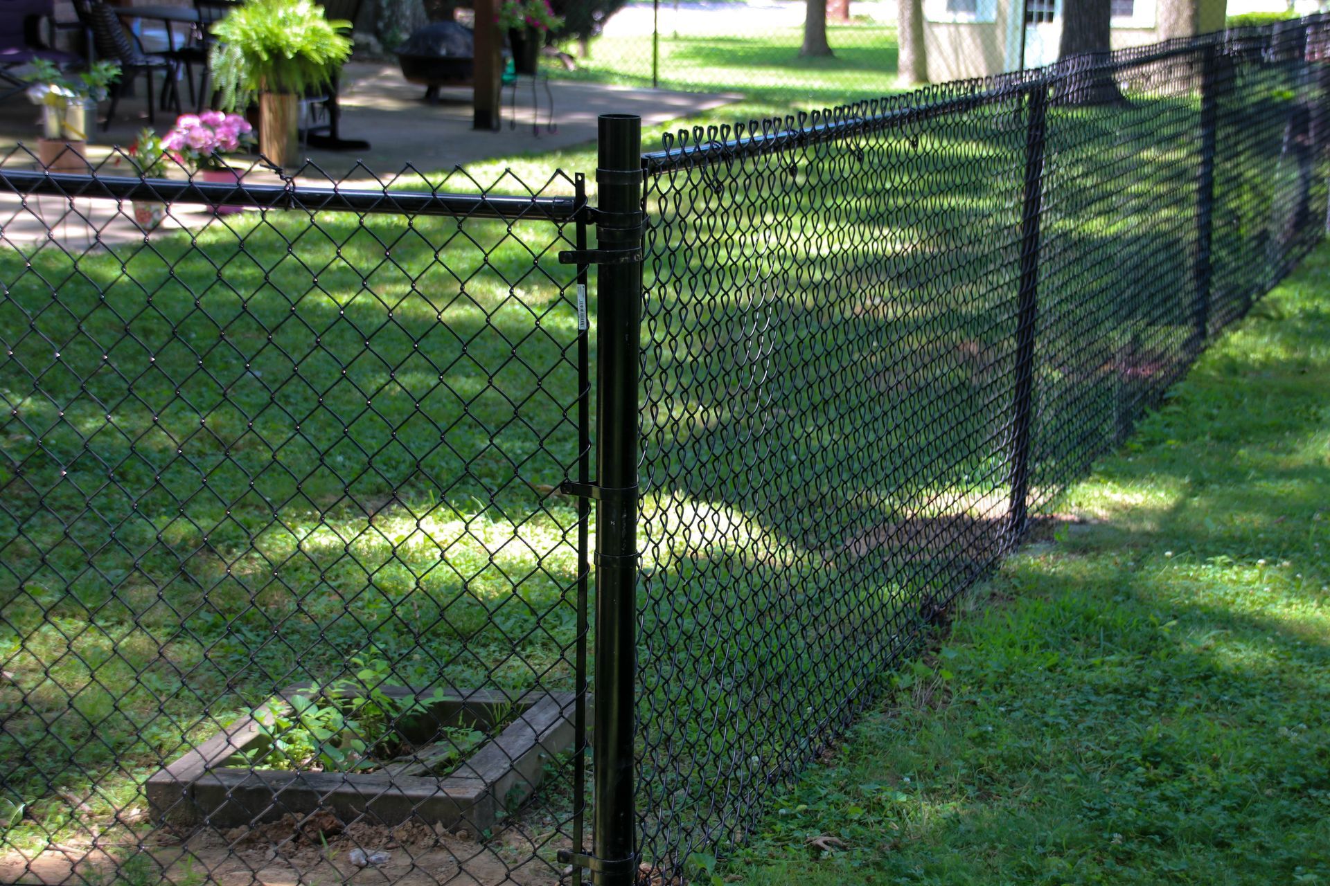 Black chain-link fence in a grassy yard, with a gate and a raised garden bed visible in the foreground.