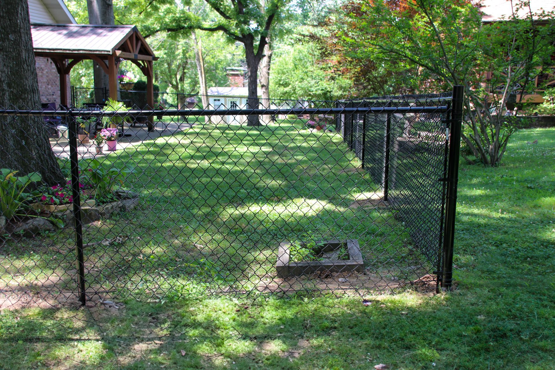 Black chain-link fence in grassy backyard, surrounded by trees and a glimpse of a porch.