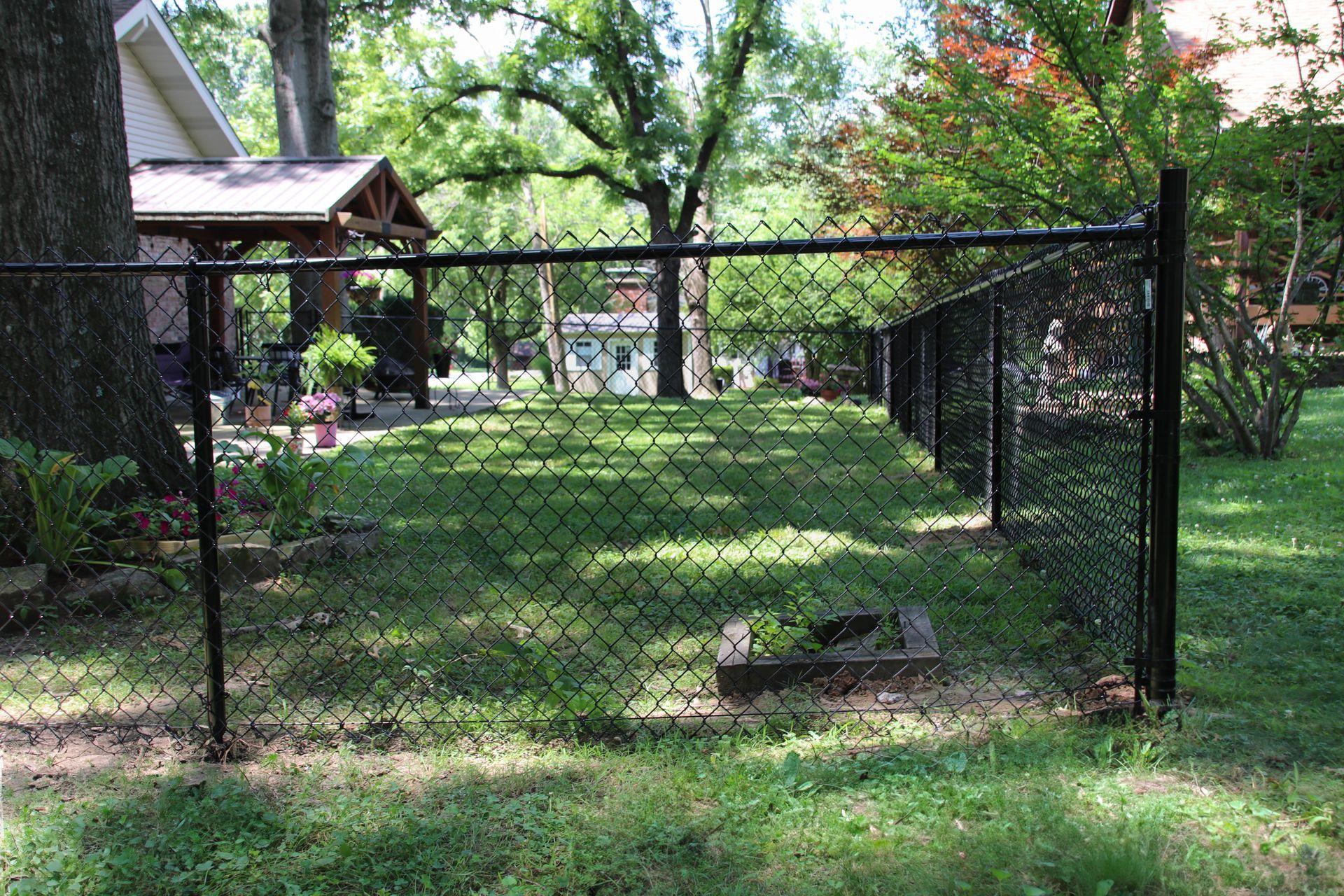 Black chain-link fence encloses a grassy yard. Trees and a house are visible in the background.