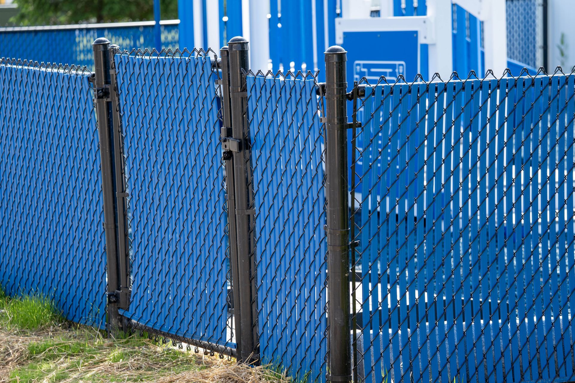 Blue chain-link fence with blue privacy slats and black posts. Outdoors, near a grassy area.