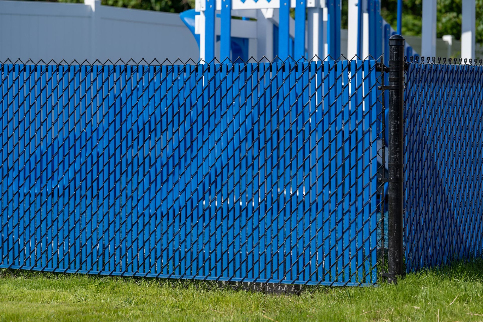 Blue chain-link fence with black slats, in front of a blue playground structure, and green grass.