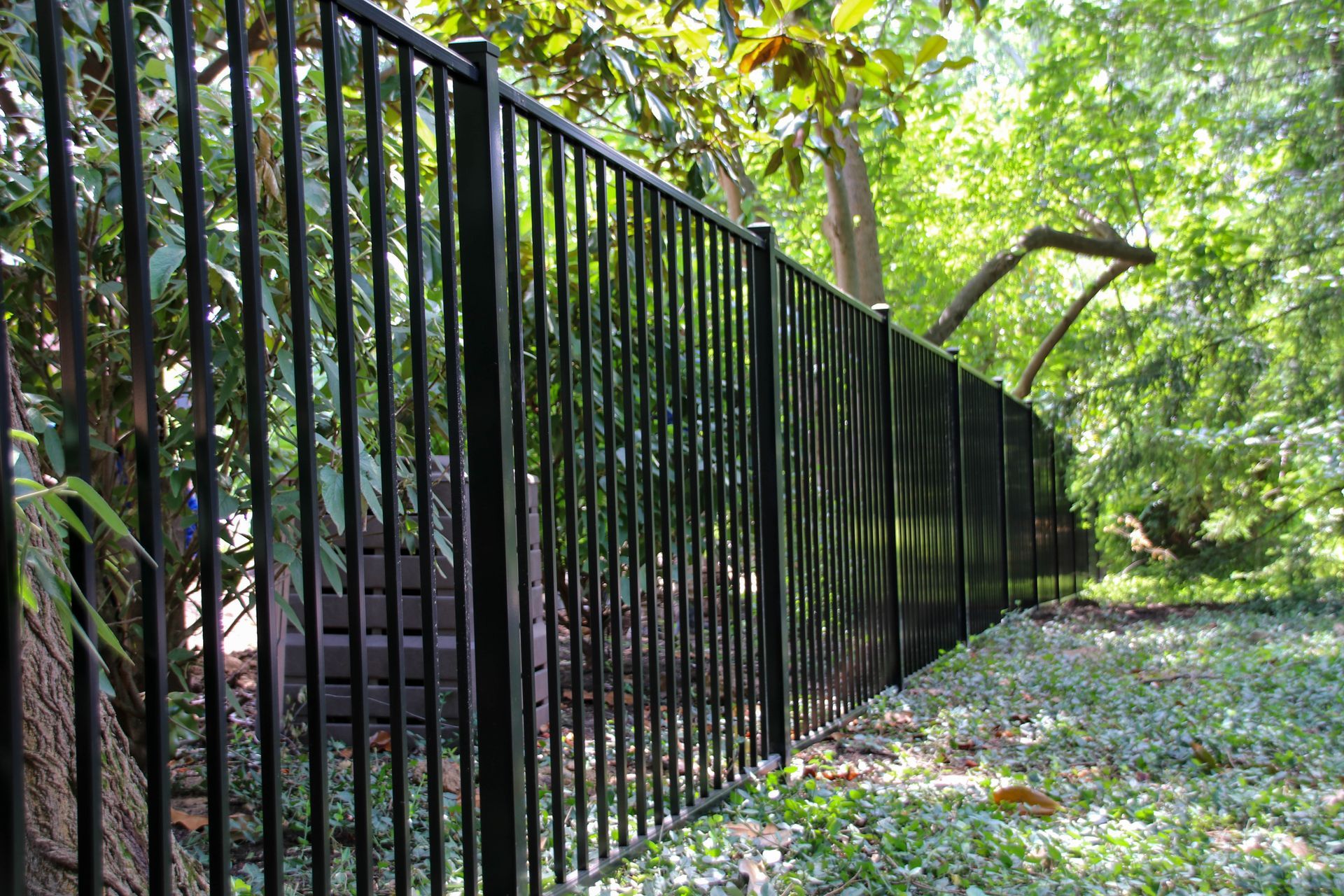 Black metal fence in a green, wooded yard.