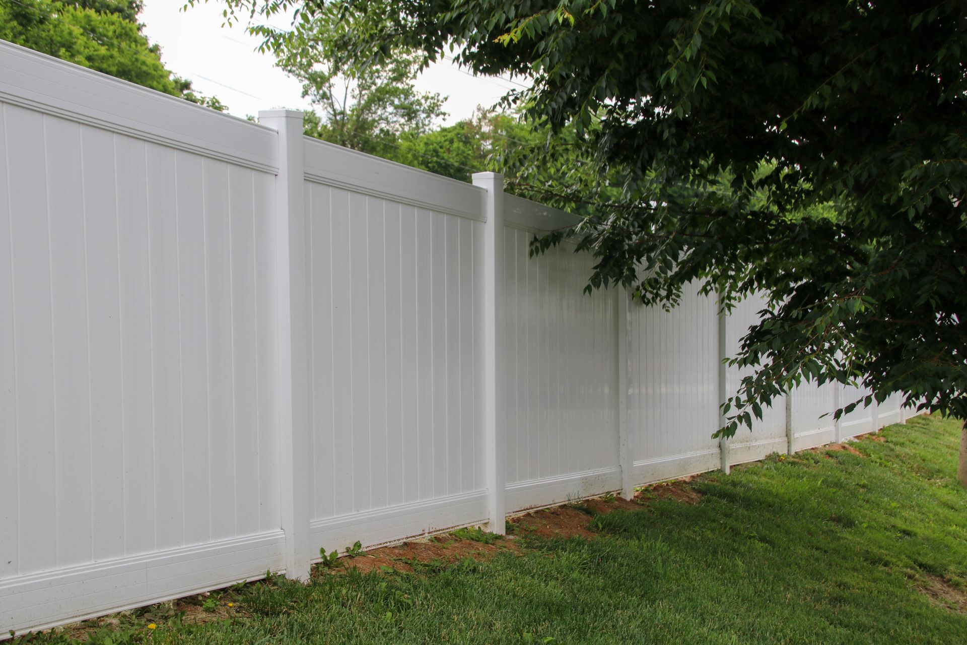 White vinyl fence along grassy yard, tree branches overhead.