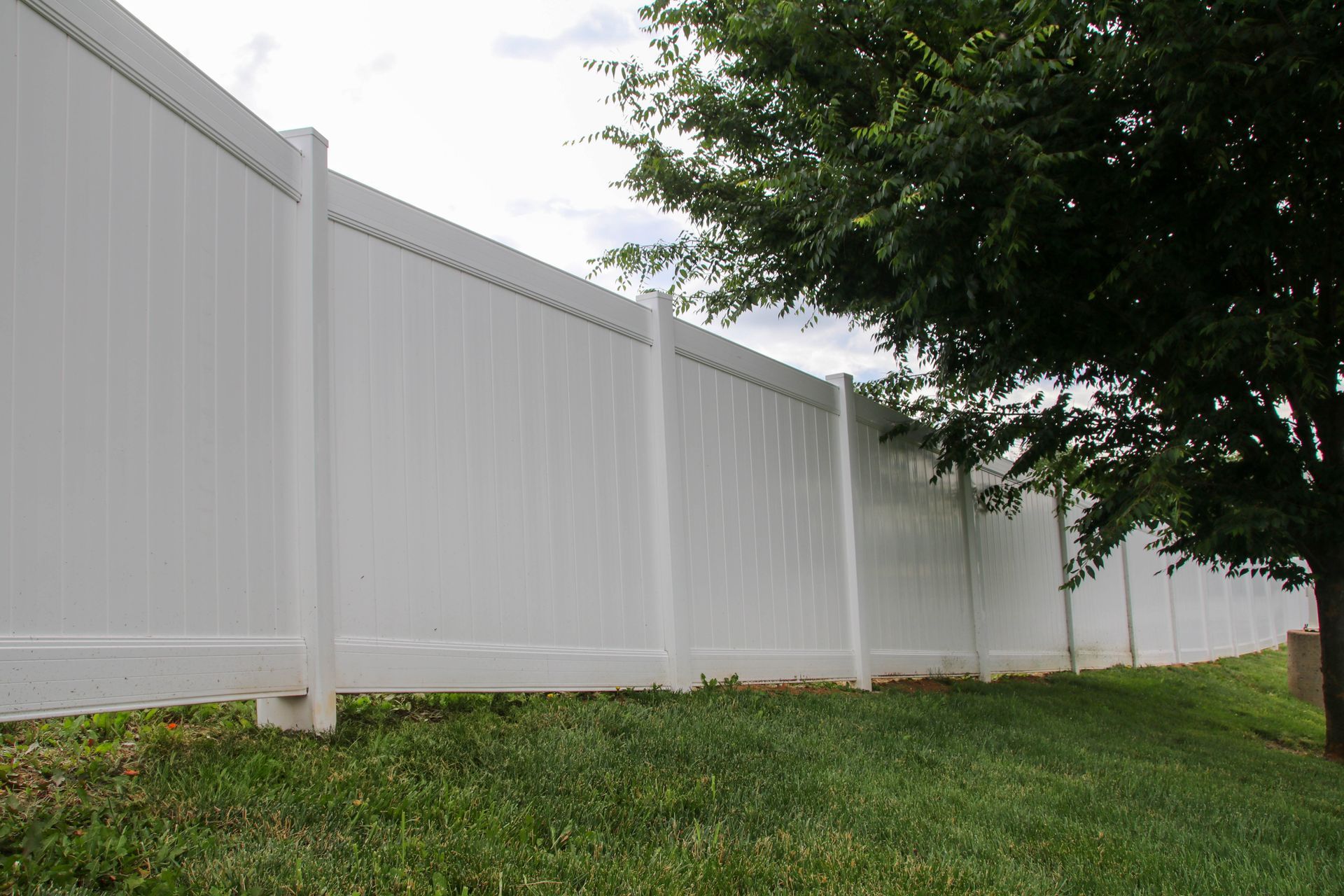 White vinyl privacy fence in a grassy yard, partially obscured by a green tree.