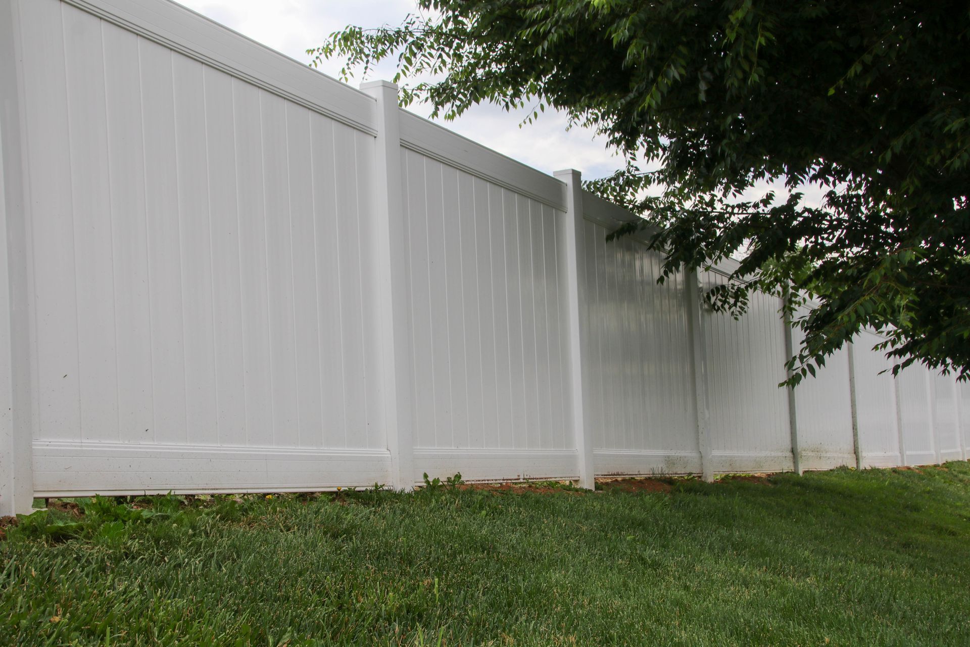 White vinyl fence in a grassy yard, partially obscured by a tree.
