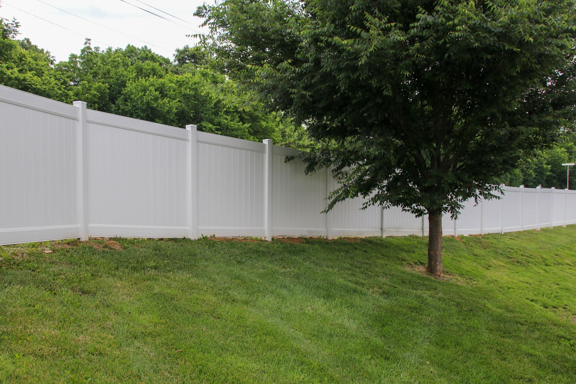 White vinyl fence along grassy yard, tree to the right, green trees in background.