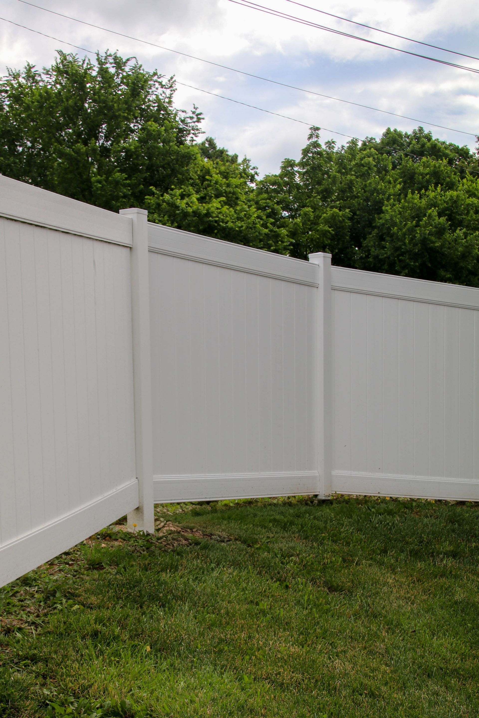 White vinyl privacy fence in a grassy yard, trees in the background, power lines above.