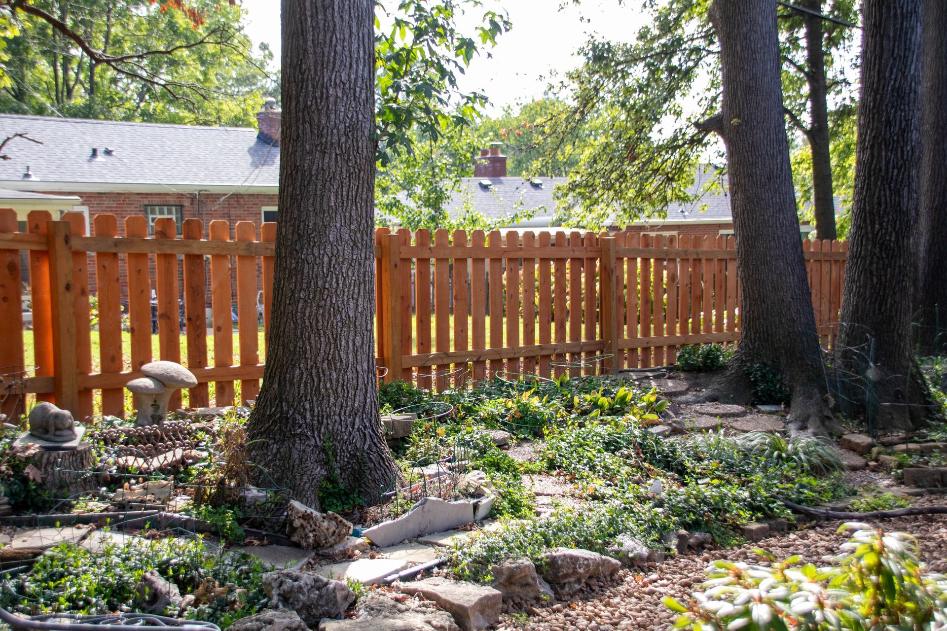 Wooden fence in a backyard with trees and vegetation.